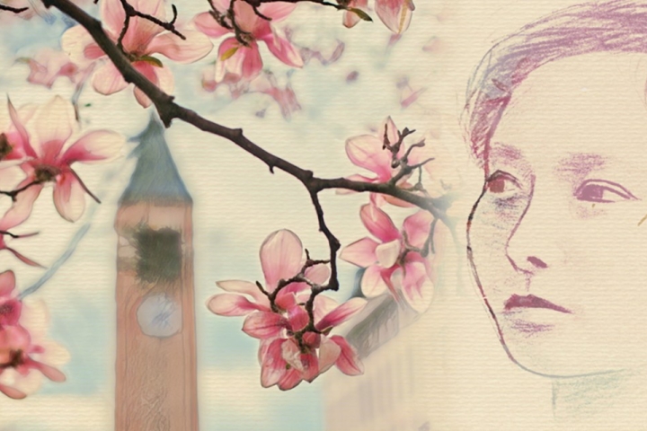 The sketch of a young Japanese woman set against an image of Cornell in spring with cherry blossoms